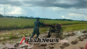 Kodim 1601/Sumba Timur Dukung Petani Lewa melalui Pengolahan Lahan Modern