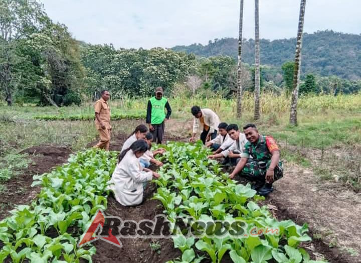 TNI Dekat dengan Rakyat: Babinsa Reok Barat Ikut Rawat Lahan Sayur Desa Toe
