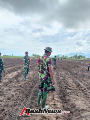 Wujudkan Swasembada Pangan, Babinsa dan Yonif 834/Wm Laksanakan Tanam Jagung di Aesesa