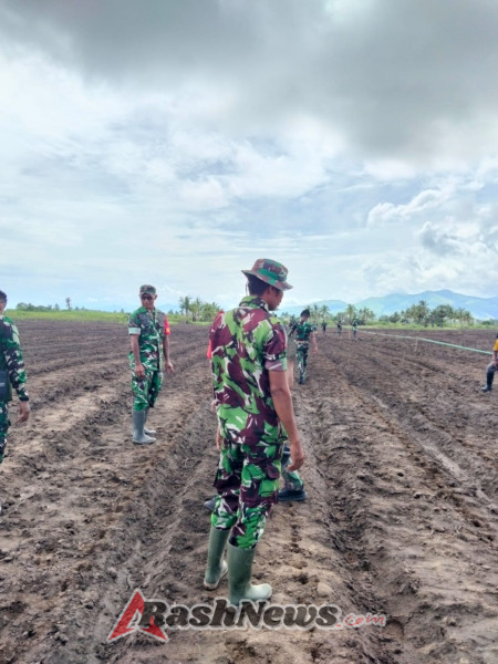 Wujudkan Swasembada Pangan, Babinsa dan Yonif 834/Wm Laksanakan Tanam Jagung di Aesesa