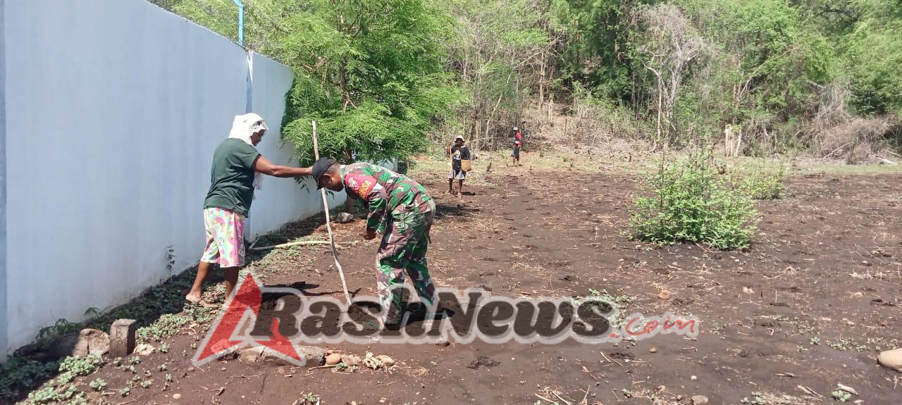 Babinsa Alor Timur Lakukan Pemantauan dan Bantu Warga Tanam Jagung
