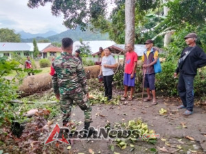 Rumah Warga Hancur Akibat Pohon Tumbang, Babinsa Pastikan Penanganan Awal di Lokasi