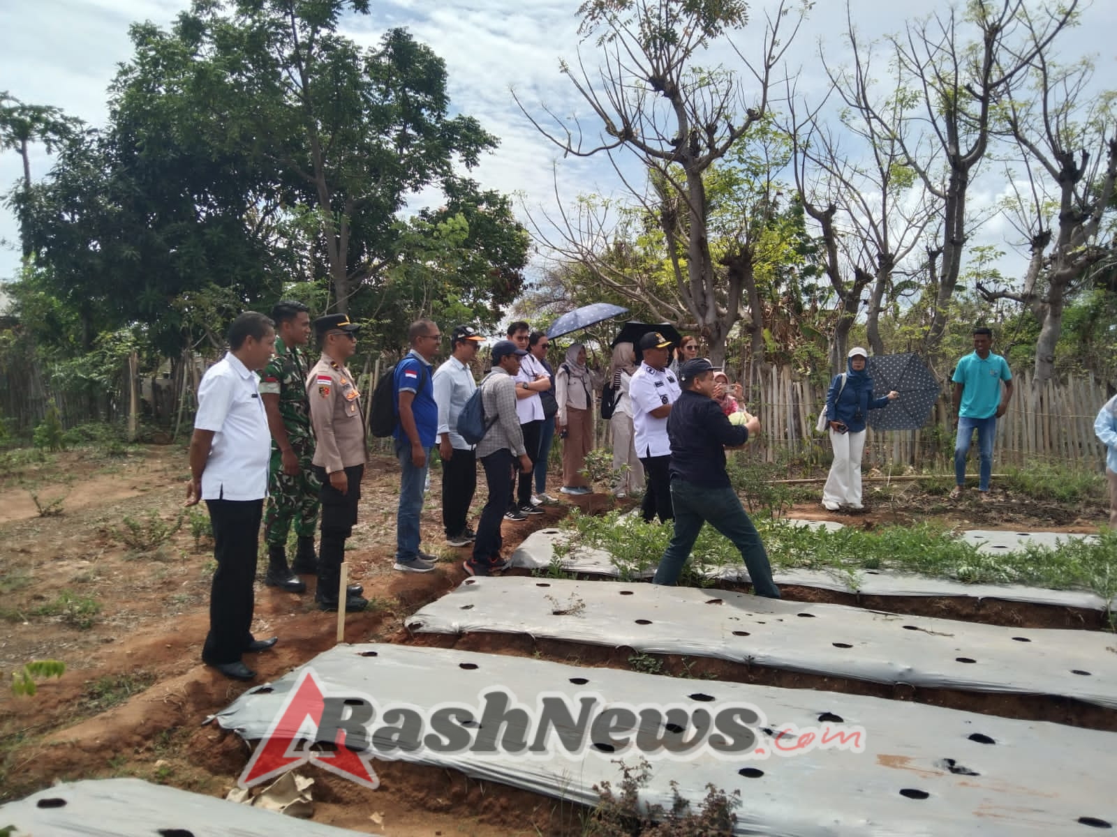 Panen Telur, Kangkung, dan Semangka Warnai Supervisi Internasional IFAD di Sumba Timur