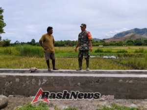 Serka Densius Berno Pastikan Pengerjaan Irigasi 126 Meter di Dusun Sokolago Selesai Tepat Waktu