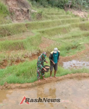 Kodim 1630/Mabar Perkuat Pembinaan Teritorial Lewat Pendampingan Petani di Kecamatan Ndoso