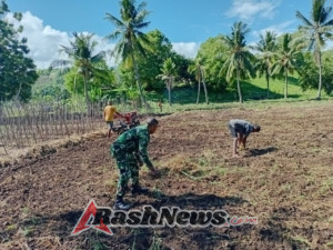 Babinsa dan Warga Bersinergi Siapkan Lahan Tanam Padi di Air Mancur