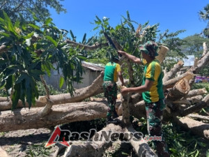 Satgas Pamtas Hadir Membantu Masyarakat dalam Pembangunan Rumah Adat di Perbatasan