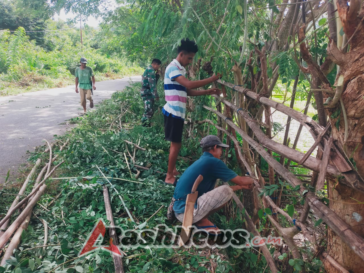 Babinsa Naitae Peduli Ketahanan Pangan Desa