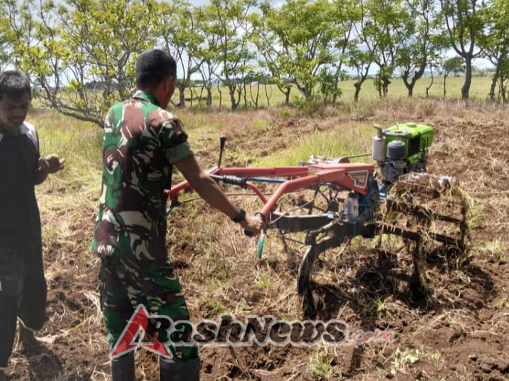 Kemanunggalan TNI-Rakyat Terlihat Saat Babinsa Bantu Persiapan Lahan Kebun