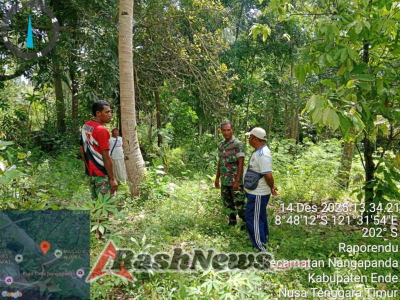 Perkuat Kamtibmas, Babinsa Koramil 1602-01/Ende Dampingi Rencana Pembangunan Koperasi Desa