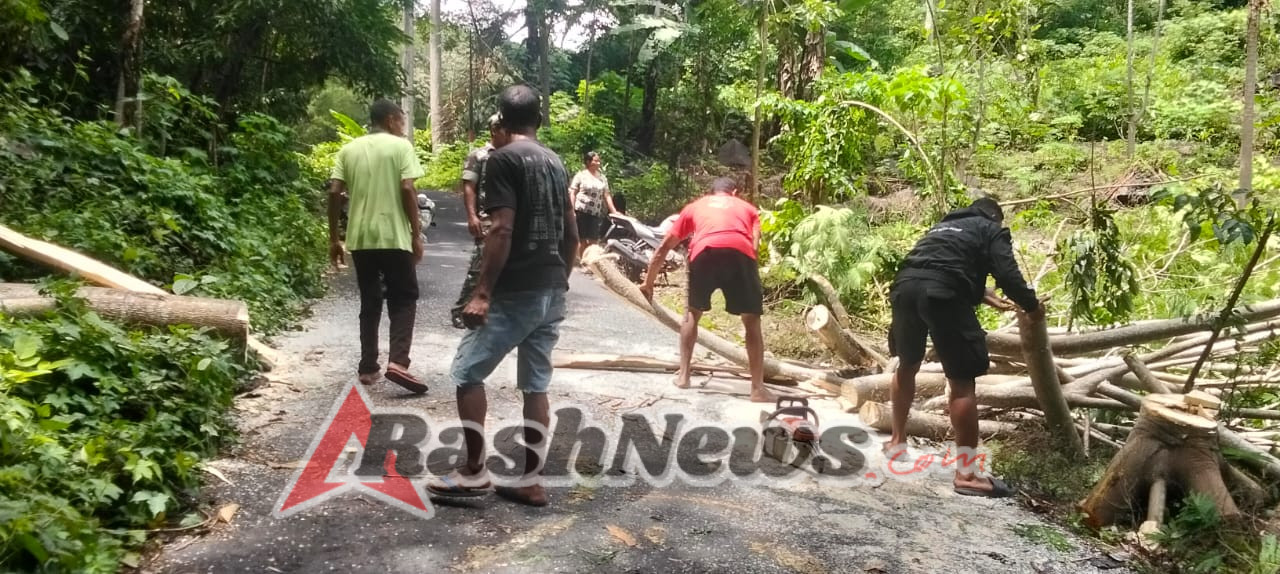 Akses Desa Sempat Terhambat, Babinsa dan Warga Soa Sigap Bersihkan Pohon Tumbang
