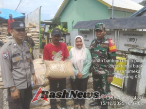 Desa Tamekan Terima Bantuan Bibit Padi, Babinsa Turut Mendampingi