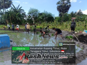 TNI AD Perkuat Ketahanan Pangan Melalui Pertanian Babau