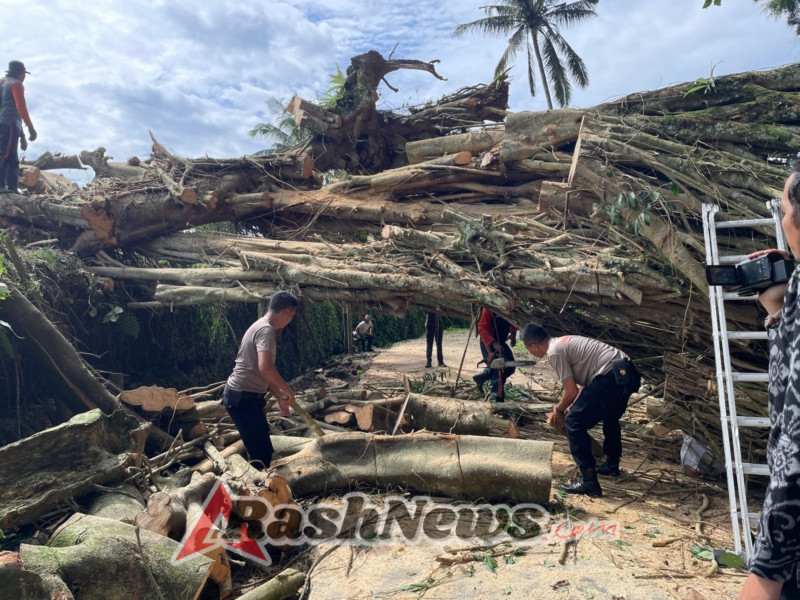 Personel Gabungan Evakuasi Pohon Tumbang Di Desa Getakan.