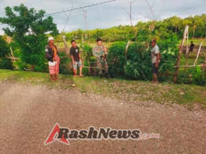 Babinsa Sulamu Dampingi Warga Jaga Pagar Sawah