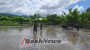 Babinsa Kodim 1601/Sumba Timur Hadir di Tengah Petani Desa Kakaha