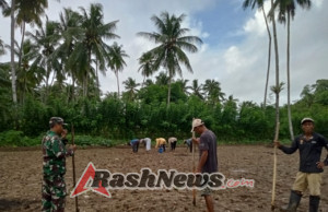 Babinsa Koramil 1630-03/MP Dampingi Petani Tanam Jagung di Desa Bari