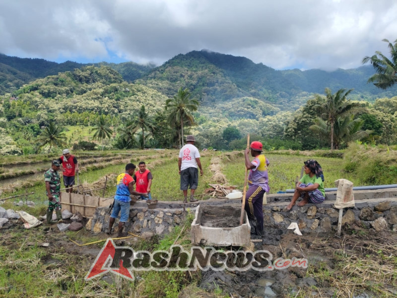 Pendampingan Oplah Babinsa Tingkatkan Produktivitas Pertanian Desa Jamokeasa