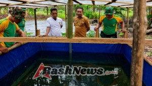 Sinergi TNI dan Pemuda, Budidaya Lele Jadi Program Unggulan Pos Fatubesi Atas
