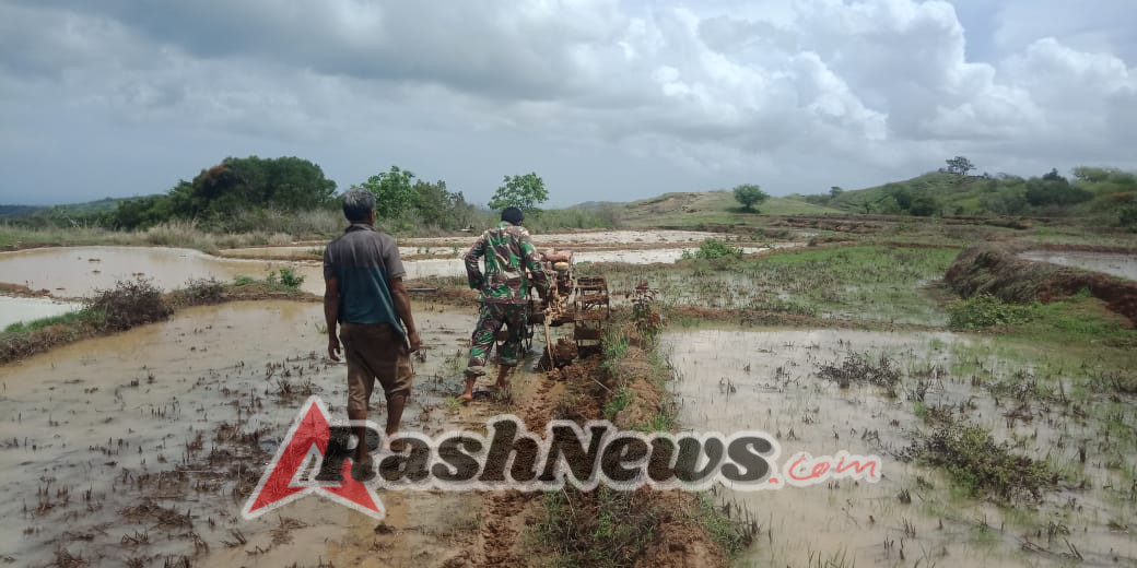 Babinsa Raenyale Perkuat Ketahanan Pangan Desa Binaan