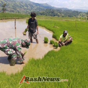 Babinsa Koramil 02/Walakaka Laksanakan Komsos Hanpangan Bersama Petani