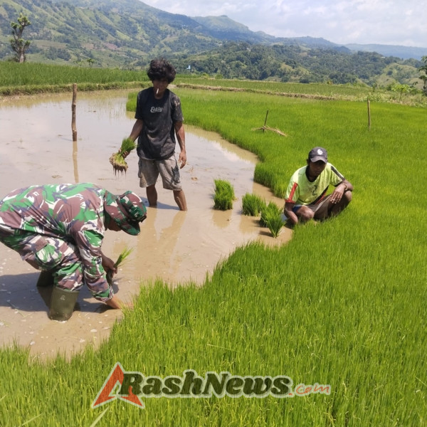 Babinsa Koramil 02/Walakaka Laksanakan Komsos Hanpangan Bersama Petani