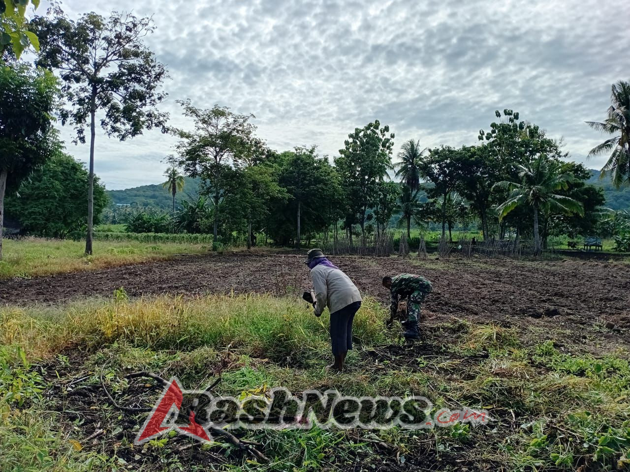Sinergi Babinsa dan Warga, Lahan Sawah Siap Tanam di Alor Timur Laut