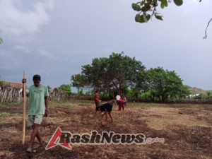 Babinsa Koramil 04/Tabundung Dukung Ketahanan Pangan di Sumba Timur