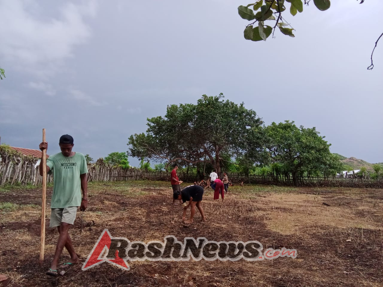 Babinsa Koramil 04/Tabundung Dukung Ketahanan Pangan di Sumba Timur