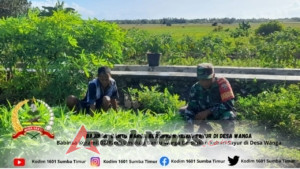 Babinsa Hadir di Tengah Masyarakat, Bersihkan Kebun Sayur Warga Desa Wanga