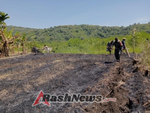 Babinsa Desa Tulleng Dampingi Pembajakan Sawah di Pakilai Barat