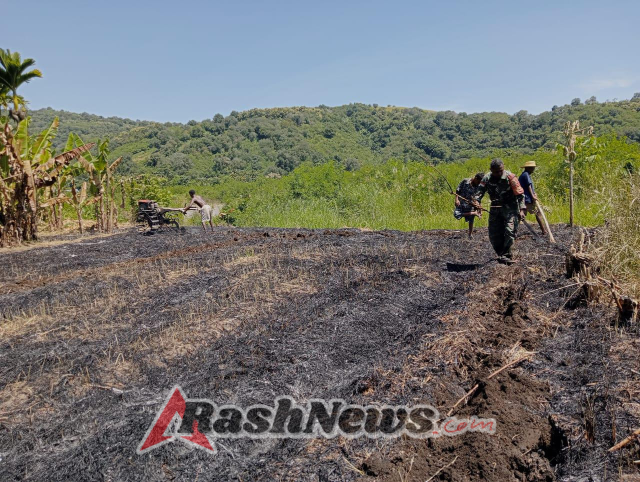 Babinsa Desa Tulleng Dampingi Pembajakan Sawah di Pakilai Barat