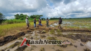 Peran Aktif Babinsa, Pendampingan Petani Sawah Terus Dilaksanakan di Wilayah Binaan