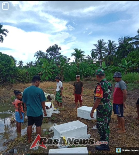 Dukung Ketahanan Pangan Desa, Babinsa dan Warga Sanggaoen Tebar Ribuan Benih Ikan