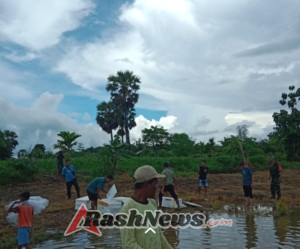 Babinsa Koramil 1627-01/Baa Dampingi Pelepasan 13.000 Benih Ikan di Danau Holoama