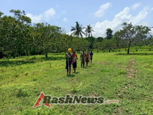 Sinergi Babinsa dan Warga Desa Billa Wujudkan Ketahanan Pangan