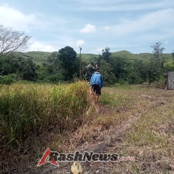 Babinsa Koramil Tabundung Bersama Warga Wujudkan Ketahanan Pangan