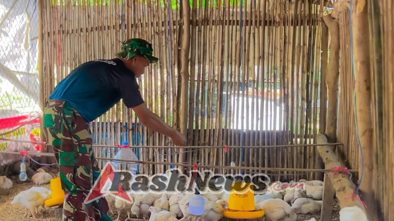 Bangun Kebun dan Ternak, Satgas Pamtas Yonarhanud 2 Kostrad Perkuat Hanpangan