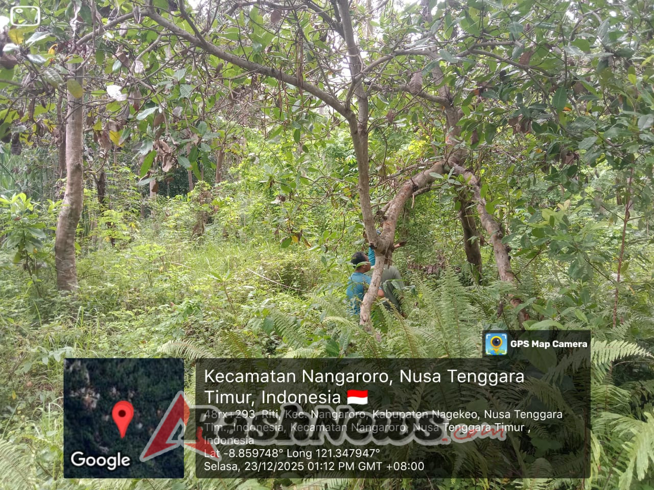 Babinsa Desa Riti Bersama Danposramil Nangaroro Tinjau Lokasi Koperasi Merah Putih