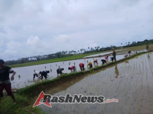 Babinsa Koramil 02/Walakaka Komsos Hanpangan dan Bantu Warga Tanam Padi
