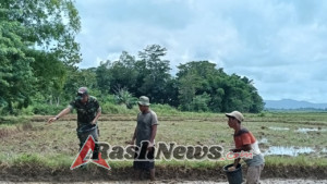 Babinsa Koramil 03/Katikutana Komsos Ketahanan Pangan Bersama Petani Desa Makatakeri
