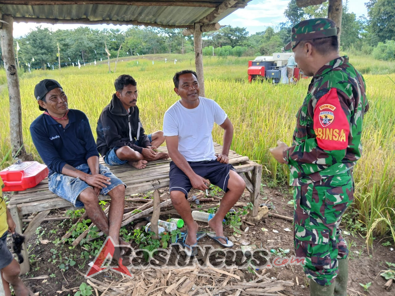 Babinsa Koramil 03/Katikutana Laksanakan Komsos dengan Warga Petani di Desa Wangga Waiyengu
