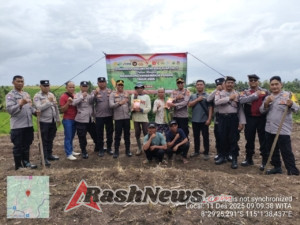 Polsek Selemadeg Tanam Jagung Kuartal IV 2025, Realisasi Program Pangan Nasional