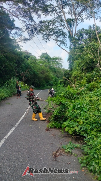 Respons Cepat Babinsa: Jalan Raya Tongo Dibersihkan dari Ranting dan Semak