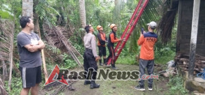 Personel Polsek Dawan Bersama TRC BPBD Evakuasi Pohon Kelapa Tumbang di Desa Gunaksa.