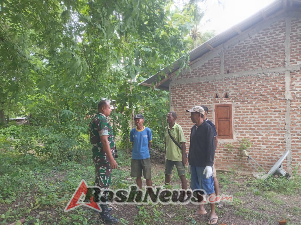 Babinsa Sapaen Dukung Ketahanan Pangan Desa melalui Monitoring Wilayah