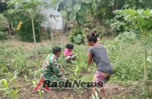 Babinsa Koramil 1618-02/Miobar Gerakkan Masyarakat Noetoko Manfaatkan Lahan Kosong Menjadi Kebun Produktif