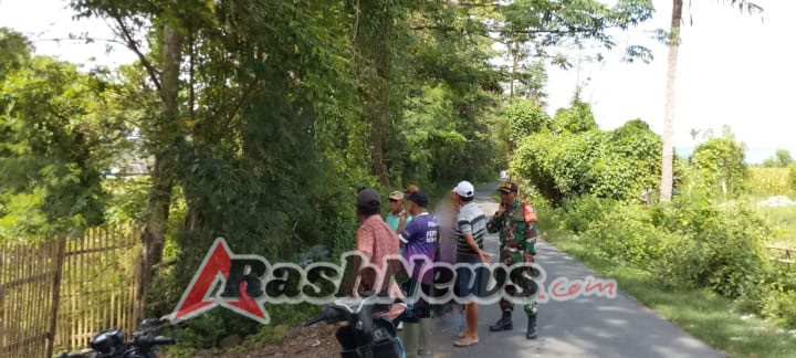 Babinsa Jambu Gelar Monitoring Lahan SO, Kegiatan Berjalan Aman dan Lancar