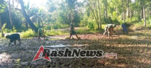 Babinsa Kodim 1601/Sumba Timur Dukung Ketahanan Pangan di Lewa Tidahu