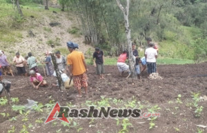 Babinsa Koramil 1618-02/Miobar Hadir Dukung Pertanian Hortikultura Warga